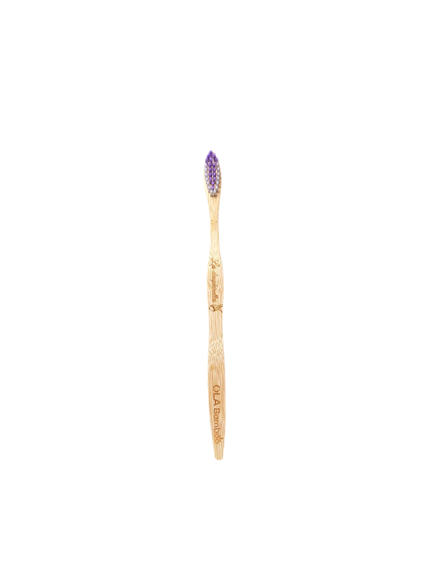 Brosse Ă dent Adulte - Mauve