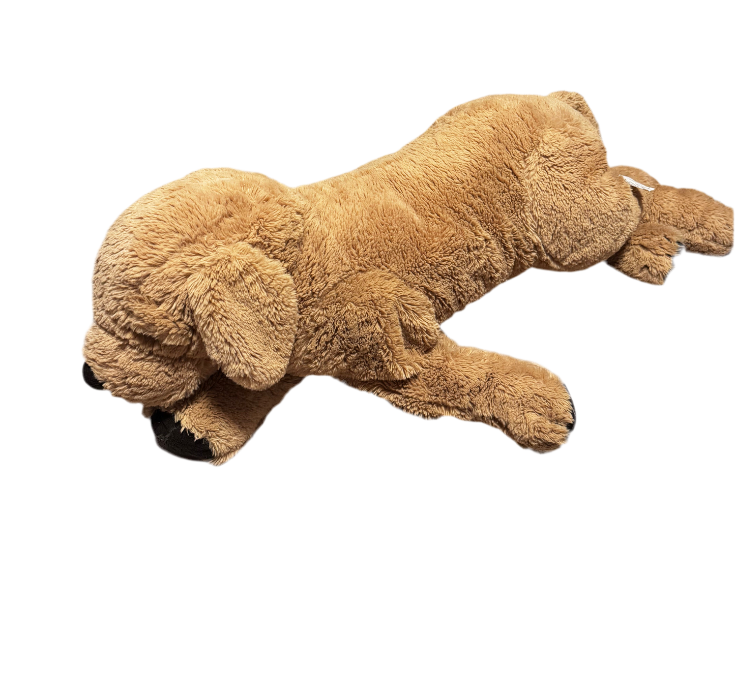Grande peluche Golden