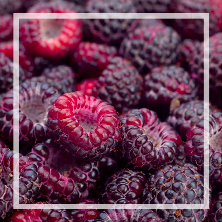 PRÉCOMMANDE - Bruine d’ambiance | Framboise noire et vanille