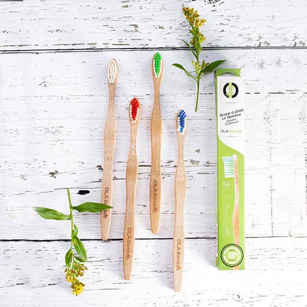 Brosse Ă dent Adulte - Verte
