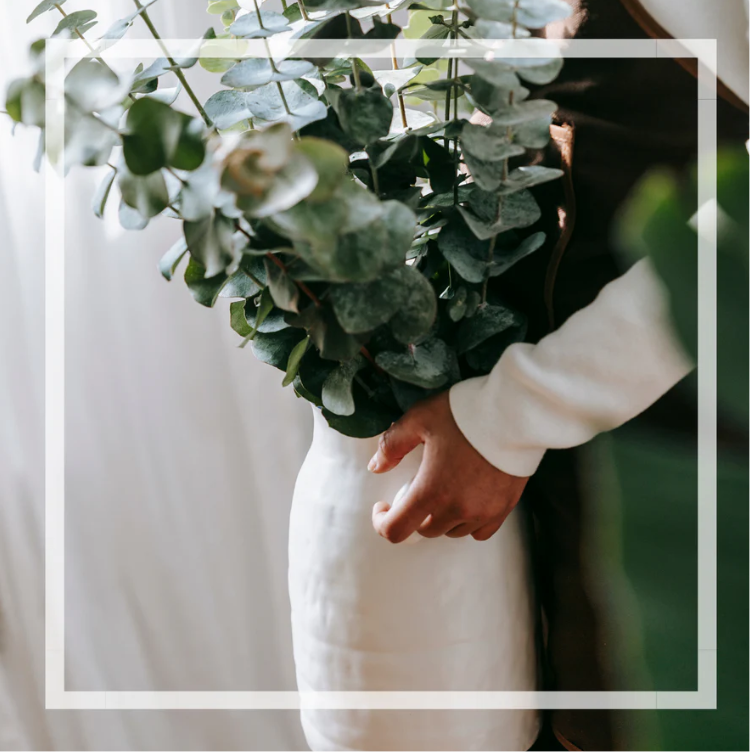 PRÉCOMMANDE - Bruine d’ambiance | Eucalyptus menthe