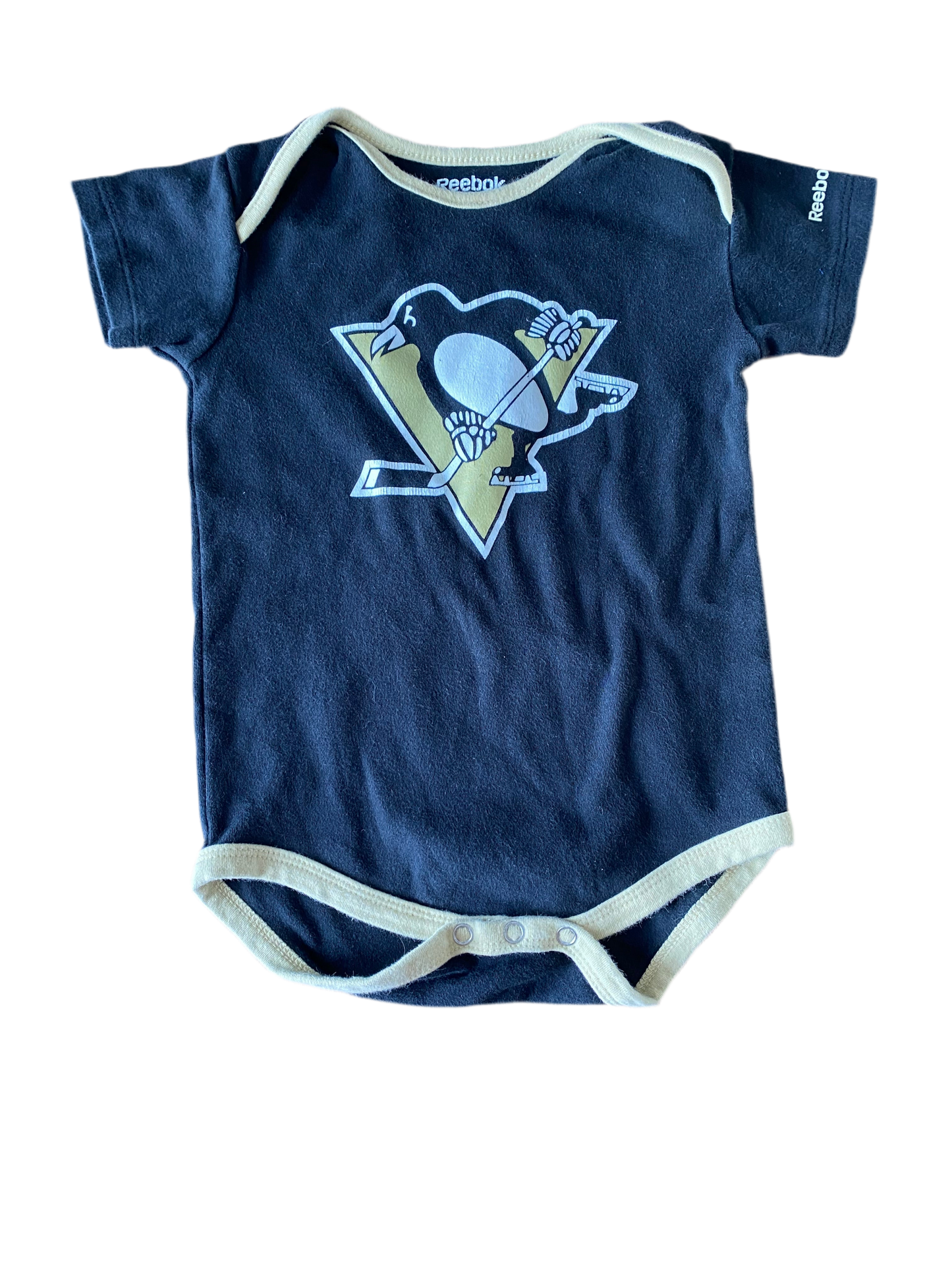 Cache-couche des Penguins de Pittsburgh 18 mois