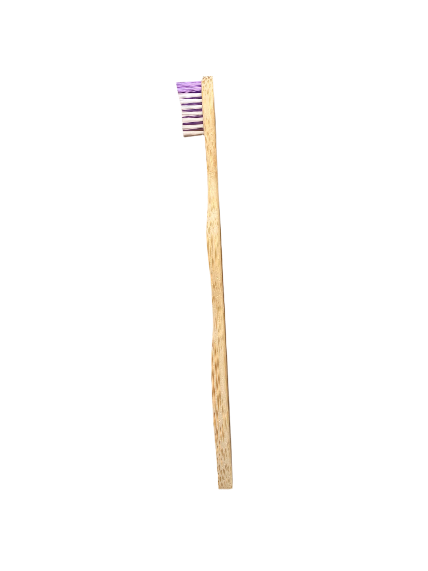 Brosse Ă dent Adulte - Mauve