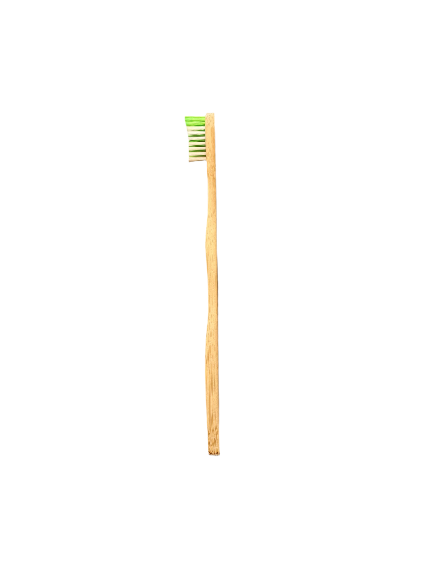 Brosse Ă dent Adulte - Verte