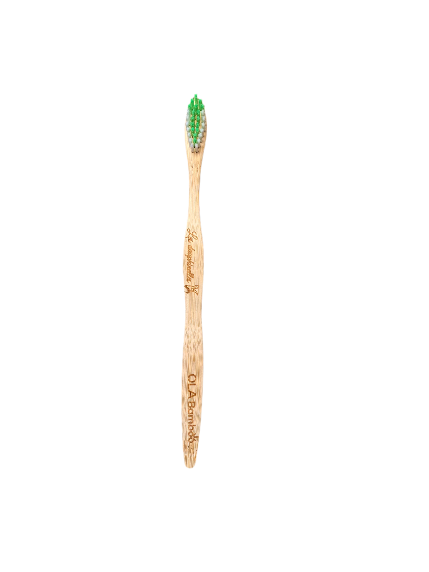 Brosse Ă dent Adulte - Verte