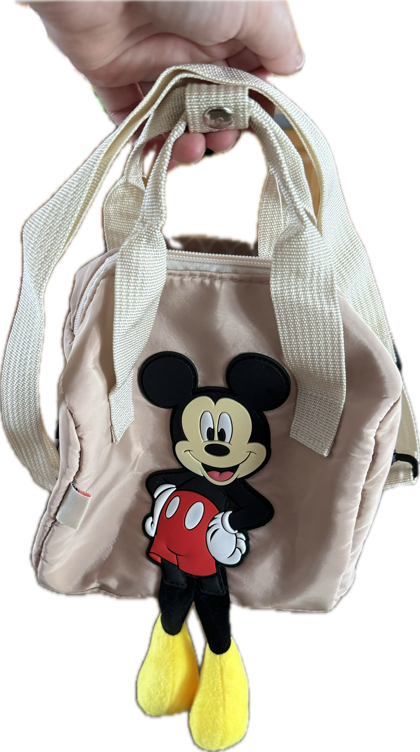 Sac Mickey
