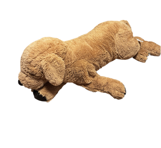 Grande peluche Golden
