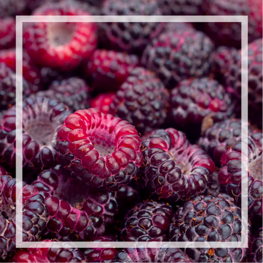 PRÉCOMMANDE - Bruine d’ambiance | Framboise noire et vanille