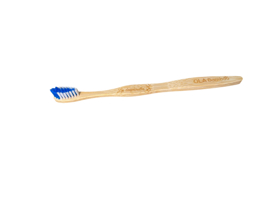 Brosse à dent Adulte - Bleu