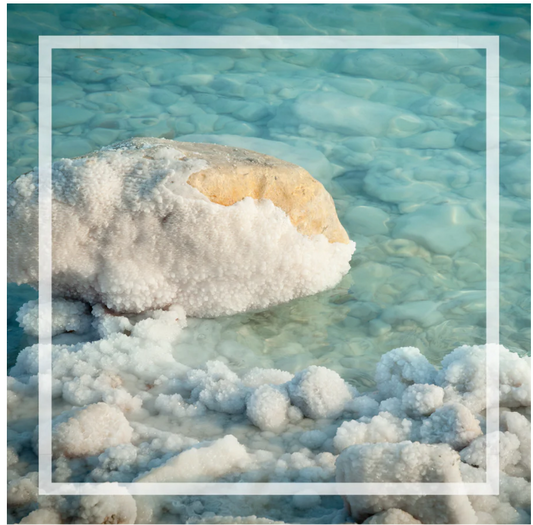 PRÉCOMMANDE - Bruine d’ambiance | Cactus et sel de mer