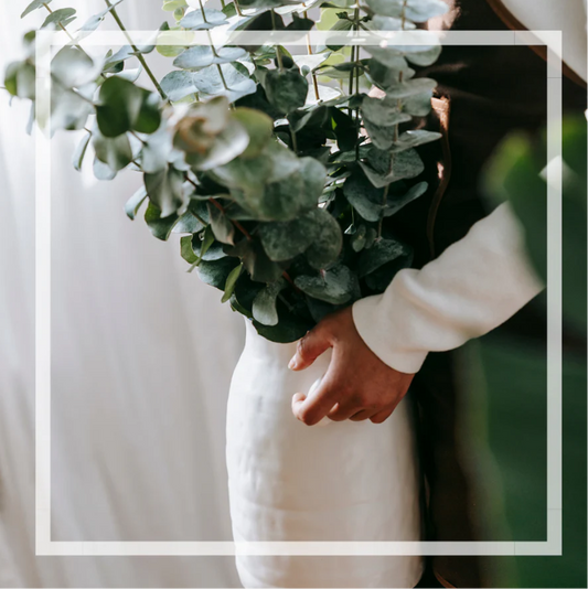 PRÉCOMMANDE - Bruine d’ambiance | Eucalyptus menthe