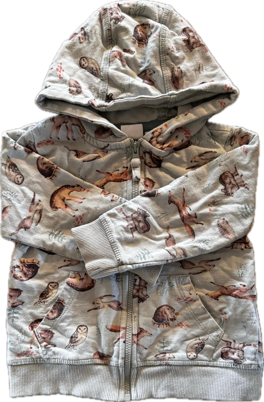 Veste 24 mois